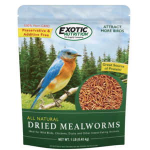 Mealworms Deshidratados –  1 LB