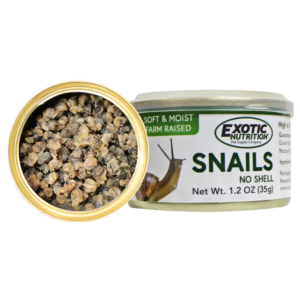 Caracoles Enlatados – Snack Proteico