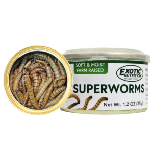Superworms Enlatados – Snack Proteico