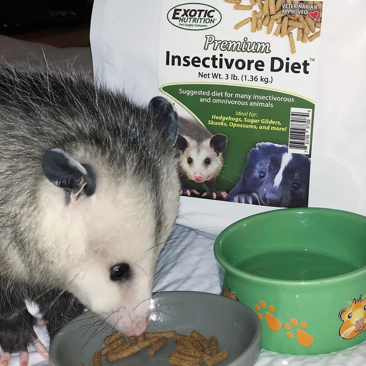 Dieta Premium Insectívora para Sugar Glider & Erizos - Image 2