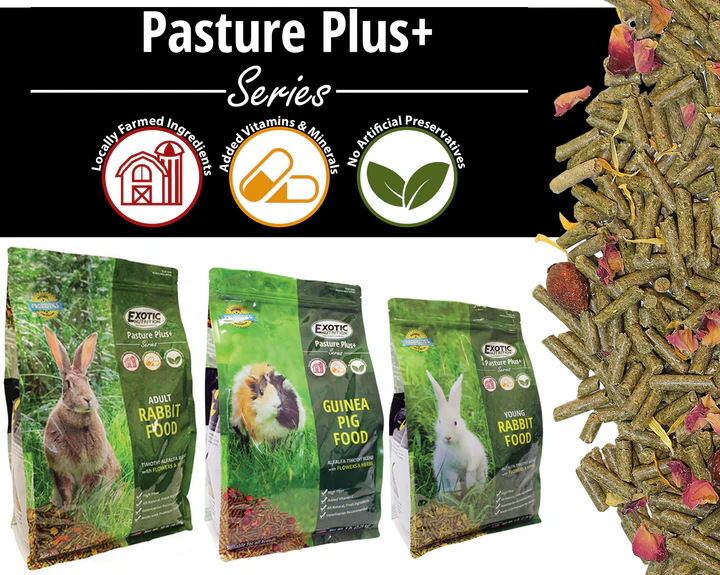 Alimento para Conejos Jóvenes 5 lb Young Rabbit Food - Image 4