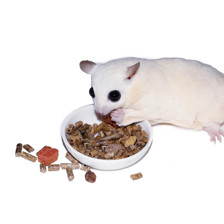 Alimento Completo para Sugar Gliders – 350 g - Image 4