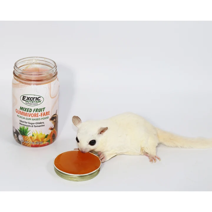Gummivore-Fare – Goma de Acacia - Image 3