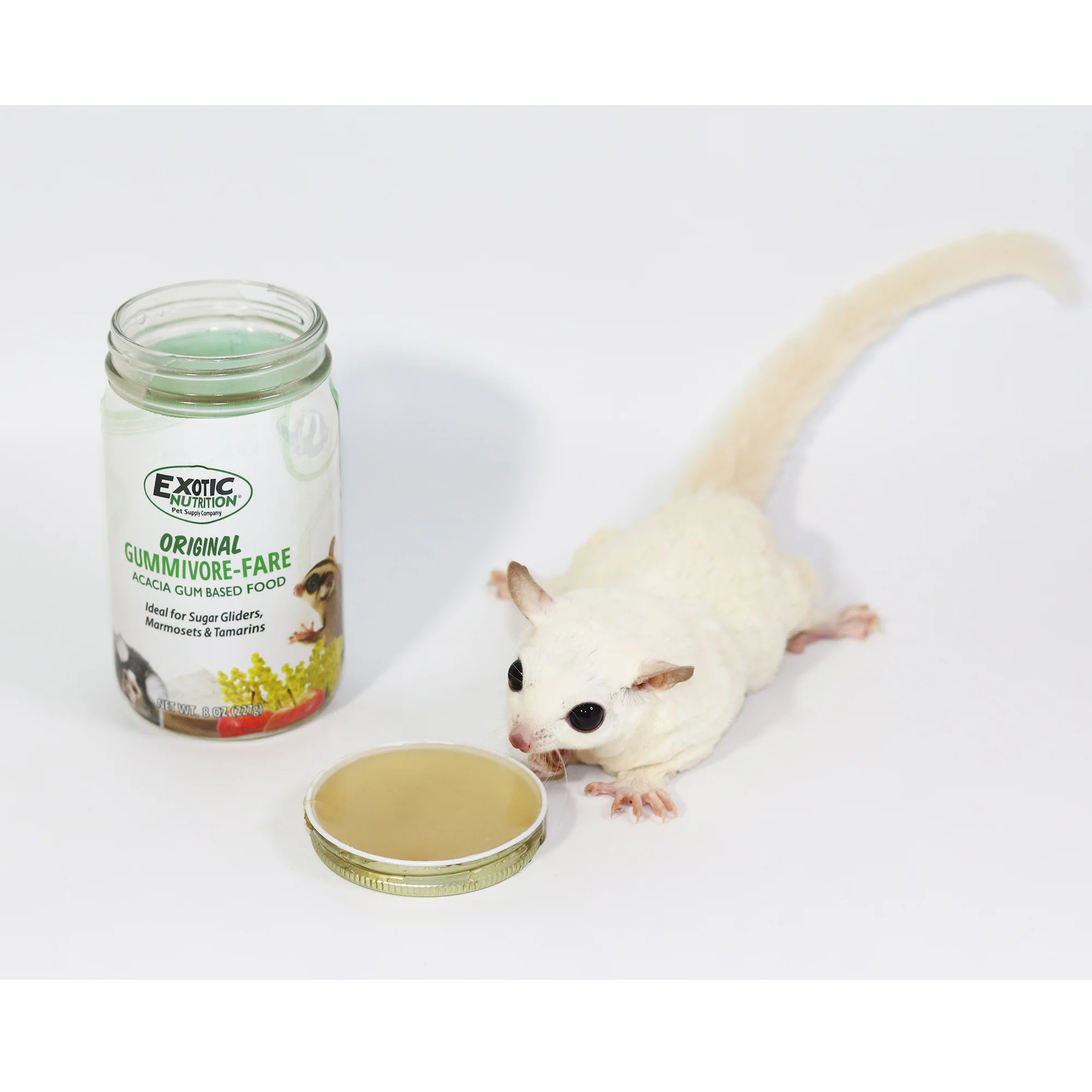 Gummivore-Fare – Goma de Acacia - Image 4