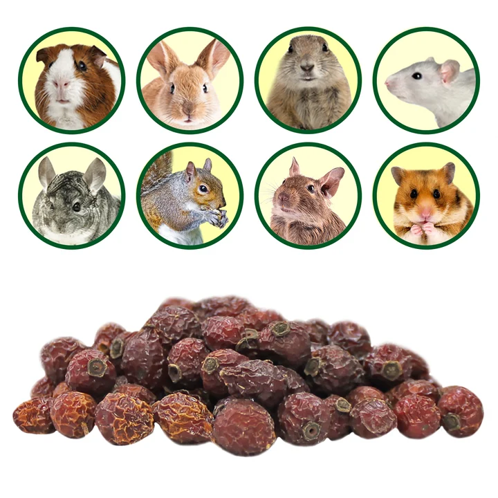 Escaramujo Deshidratado – Dried Rose Hips 3 oz - Image 5
