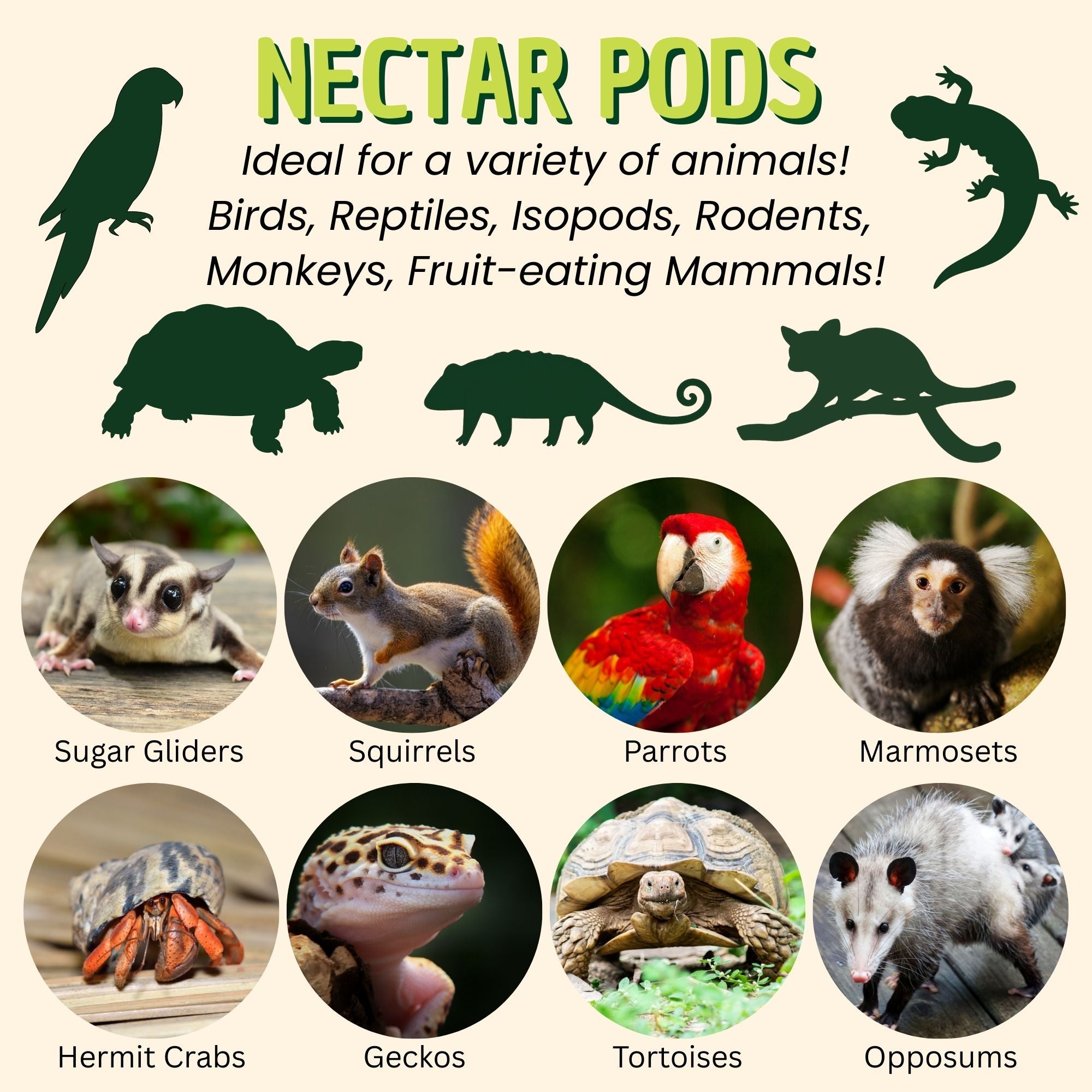Nectar Pods Exotic Nutrition - Imagen 2